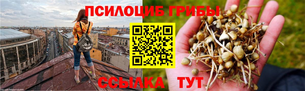 Ликино-Дулёво  Галлюциногенные грибы мицелий  Псилоцибиновые грибы Psilocybine cubensis  Вход с VPN 