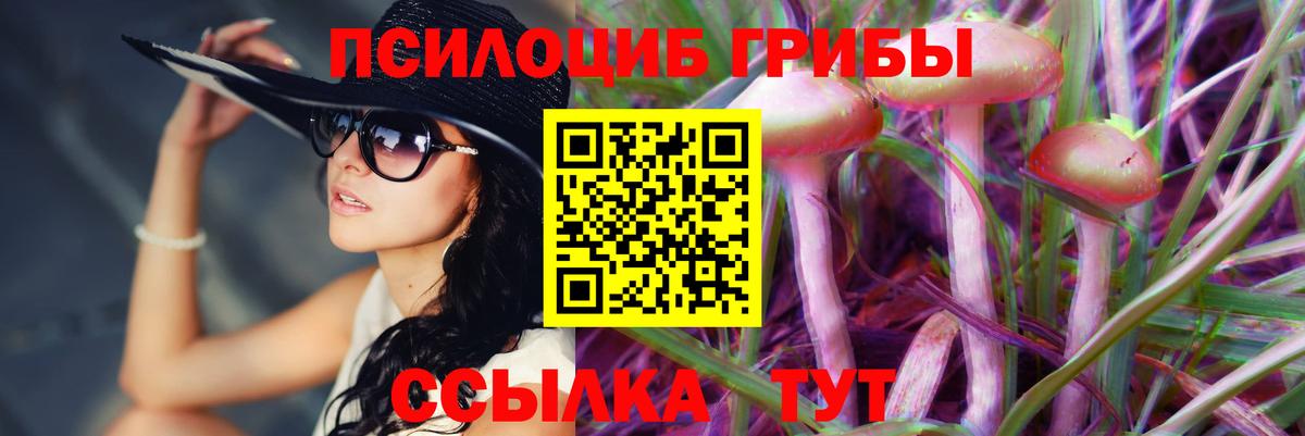 Псилоцибиновые грибы MAGIC MUSHROOMS Ликино-Дулёво